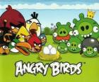 Kuşlar, yumurta ve Angry Birds yeşil domuzlar